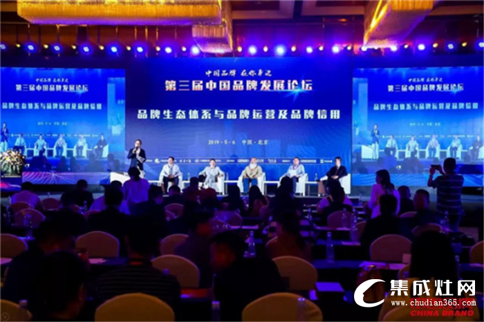 金帝为中国品牌代言，共同探索未来发展之路！