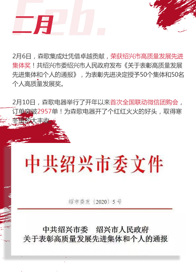 森歌集成灶2020年度报告移动版图片