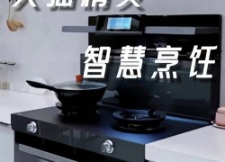 佳歌智能新品A7ZK集成灶——智享烹饪，让生活更美味！ (1005播放)
